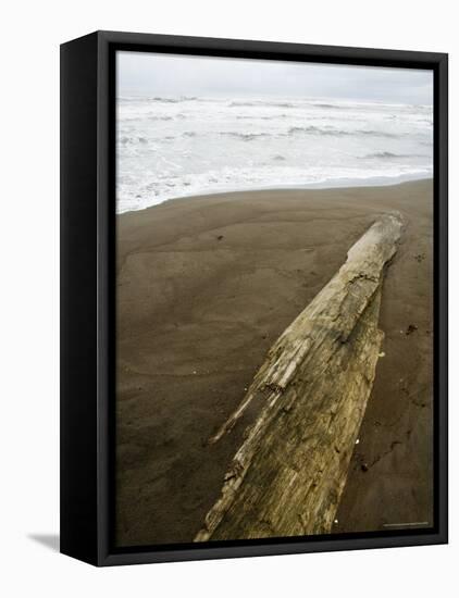 Tortuguero Beach, Caribbean Coast, Tortuguero National Park, Costa Rica, Central America-R H Productions-Framed Stretched Canvas