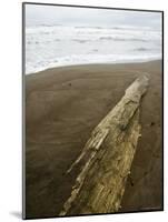 Tortuguero Beach, Caribbean Coast, Tortuguero National Park, Costa Rica, Central America-R H Productions-Mounted Photographic Print