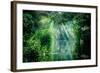 Tortuguero National Park, Rainforest, Costa Rica, Caribbean Coast, Central America-ronnybas-Framed Photographic Print