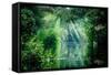 Tortuguero National Park, Rainforest, Costa Rica, Caribbean Coast, Central America-ronnybas-Framed Stretched Canvas