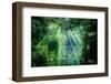 Tortuguero National Park, Rainforest, Costa Rica, Caribbean Coast, Central America-ronnybas-Framed Photographic Print