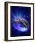 Torus Universe, Artwork-Mehau Kulyk-Framed Photographic Print