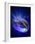 Torus Universe, Artwork-Mehau Kulyk-Framed Photographic Print