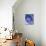 Torus-Eric Heller-Mounted Photographic Print displayed on a wall