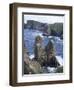 Tory Island, County Donegal, Ulster, Eire (Republic of Ireland)-David Lomax-Framed Photographic Print