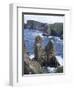 Tory Island, County Donegal, Ulster, Eire (Republic of Ireland)-David Lomax-Framed Photographic Print