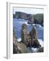 Tory Island, County Donegal, Ulster, Eire (Republic of Ireland)-David Lomax-Framed Photographic Print