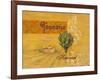 Toscana Harvest-Angela Staehling-Framed Art Print