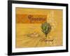 Toscana Harvest-Angela Staehling-Framed Art Print