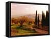 Toscana, Italia No. 709-Alan Klug-Framed Stretched Canvas