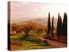 Toscana, Italia No. 709-Alan Klug-Stretched Canvas