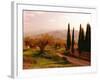Toscana, Italia No. 709-Alan Klug-Framed Photographic Print