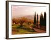 Toscana, Italia No. 709-Alan Klug-Framed Photographic Print