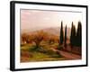 Toscana, Italia No. 709-Alan Klug-Framed Photographic Print