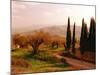 Toscana, Italia No. 709-Alan Klug-Mounted Photographic Print