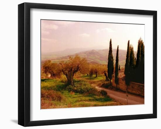 Toscana, Italia No. 709-Alan Klug-Framed Photographic Print