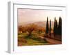 Toscana, Italia No. 709-Alan Klug-Framed Photographic Print