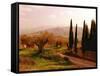 Toscana, Italia No. 709-Alan Klug-Framed Stretched Canvas