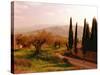 Toscana, Italia No. 709-Alan Klug-Stretched Canvas