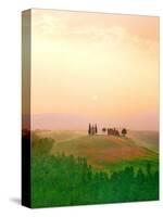 Toscana, Italia No. 717-Alan Klug-Stretched Canvas