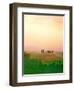 Toscana, Italia No. 717-Alan Klug-Framed Photographic Print