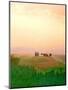 Toscana, Italia No. 717-Alan Klug-Mounted Photographic Print