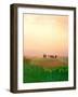 Toscana, Italia No. 717-Alan Klug-Framed Photographic Print