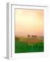 Toscana, Italia No. 717-Alan Klug-Framed Photographic Print