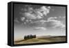 Toscana Landscape-null-Framed Stretched Canvas