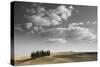 Toscana Landscape-null-Stretched Canvas