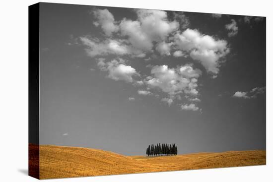 Toscana Landscape-PhotoINC-Stretched Canvas