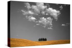 Toscana Landscape-PhotoINC-Stretched Canvas