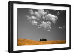 Toscana Landscape-PhotoINC-Framed Photographic Print