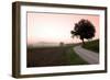 Toscana Valle No.1-Alan Blaustein-Framed Photographic Print