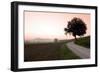 Toscana Valle No.1-Alan Blaustein-Framed Photographic Print