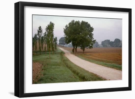 Toscana Valle No.2-Alan Blaustein-Framed Photographic Print