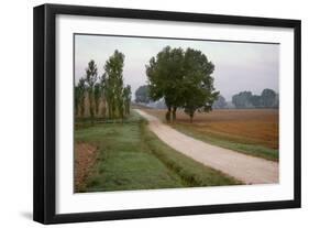 Toscana Valle No.2-Alan Blaustein-Framed Photographic Print