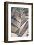 Toscana-Doug Chinnery-Framed Photographic Print