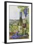 Toscana-ZPR Int’L-Framed Giclee Print