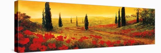 Toscano Panel I-Art Fronckowiak-Stretched Canvas