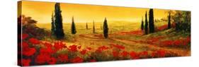 Toscano Panel I-Art Fronckowiak-Stretched Canvas