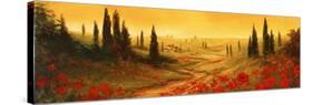 Toscano Panel II-Art Fronckowiak-Stretched Canvas