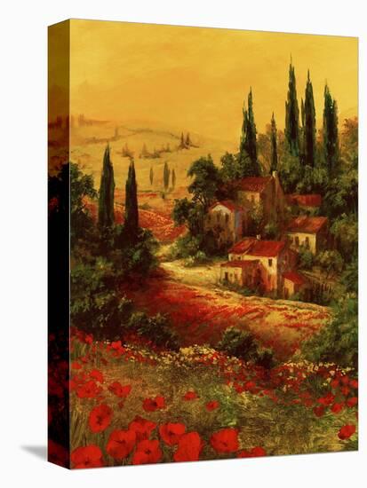 Toscano Valley I-Art Fronckowiak-Stretched Canvas