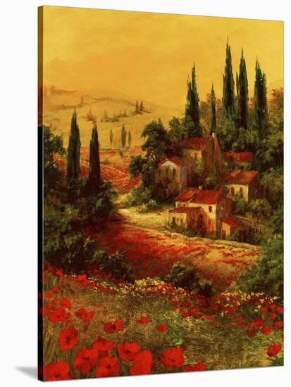 Toscano Valley I-Art Fronckowiak-Stretched Canvas