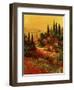 Toscano Valley I-Art Fronckowiak-Framed Premium Giclee Print