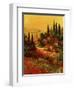 Toscano Valley I-Art Fronckowiak-Framed Art Print