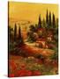 Toscano Valley I-Art Fronckowiak-Stretched Canvas