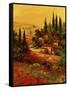 Toscano Valley I-Art Fronckowiak-Framed Stretched Canvas