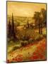 Toscano Valley II-Art Fronckowiak-Mounted Premium Giclee Print