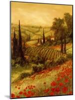 Toscano Valley II-Art Fronckowiak-Mounted Art Print